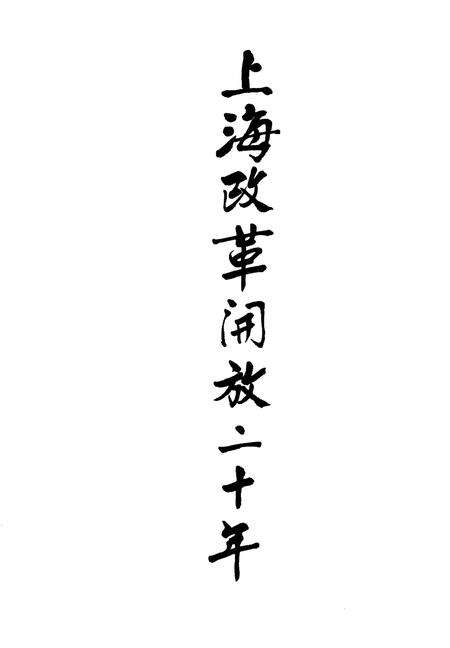 1998-上海改革开放二十年  长宁卷.pdf电子版_上海市志预览图1