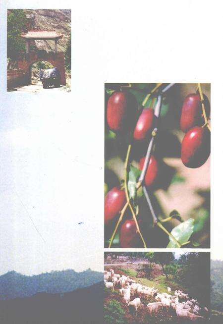 1999-永和县志.pdf电子版_山西省志预览图1