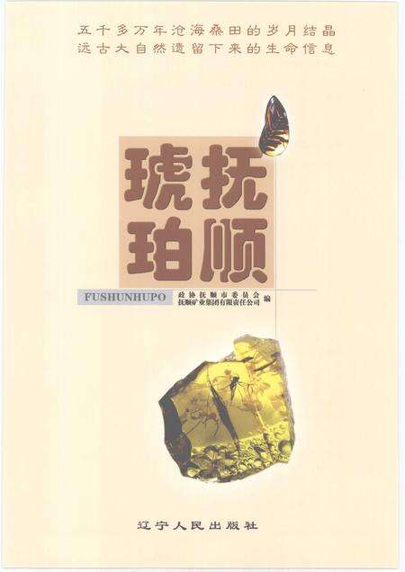 2007-抚顺琥珀.pdf电子版_辽宁省志预览图1