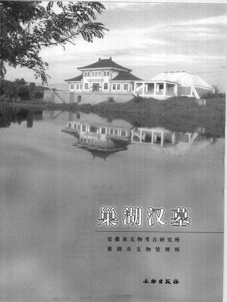 2007版巢湖汉墓.pdf电子版_安徽省志预览图1