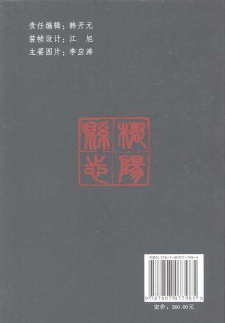 2007版枞阳县志（1978-2002年）.pdf电子版_安徽省志预览图1