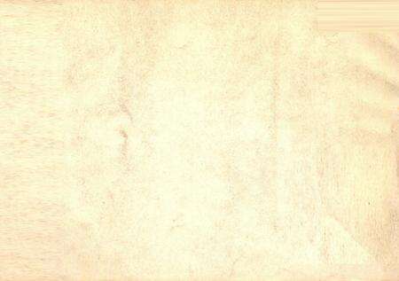 1982-丹东市市区地名录.pdf电子版_辽宁省志预览图1