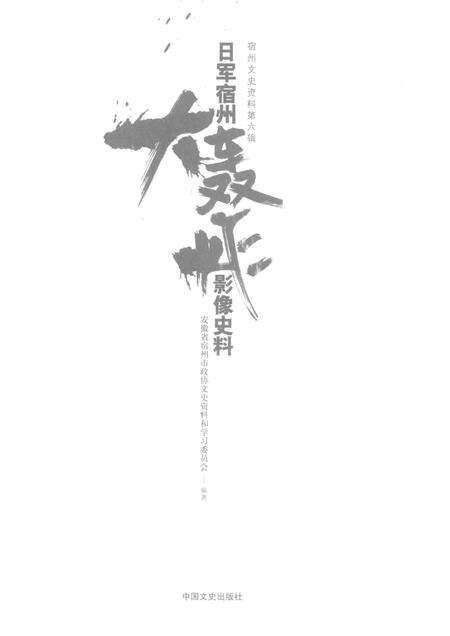 2015版宿州文史资料  日军宿州大轰炸影像史料.pdf电子版_安徽省志预览图1