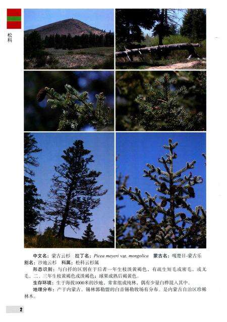 2016-内蒙古自治区锡林郭勒盟木本植物图鉴.pdf电子版_内蒙古志预览图1