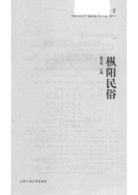 2017版枞阳民俗.pdf电子版_安徽省志预览图1