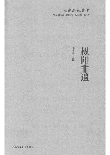 2017版枞阳非遗.pdf电子版_安徽省志预览图1