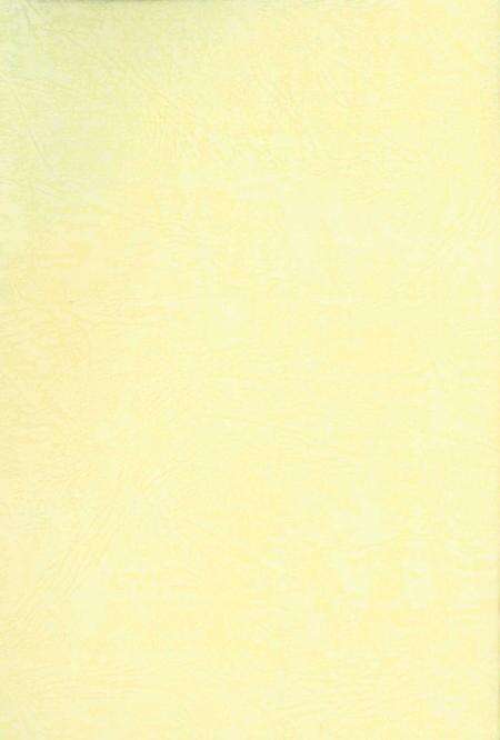 三八五旅在庆阳(下).pdf电子版_甘肃省志预览图1