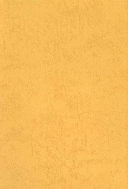 中共静宁地方党史大事记（1966.5-2008.12）.pdf电子版_甘肃省志预览图1