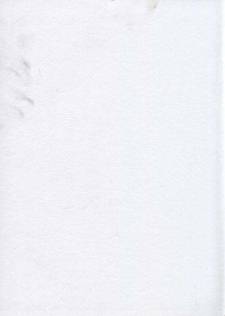 南充年鉴2012.pdf电子版_四川省志预览图1