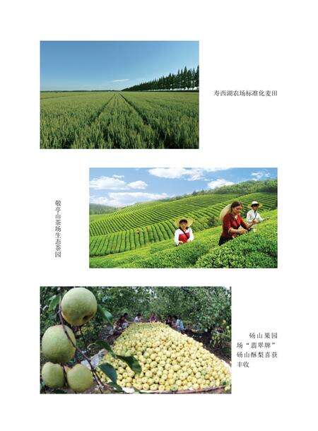 安徽省志农垦志.pdf电子版_安徽省志预览图1