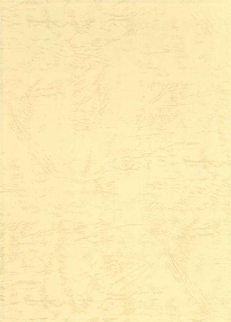 廊坊年鉴 第二卷.pdf电子版_河北省志预览图1