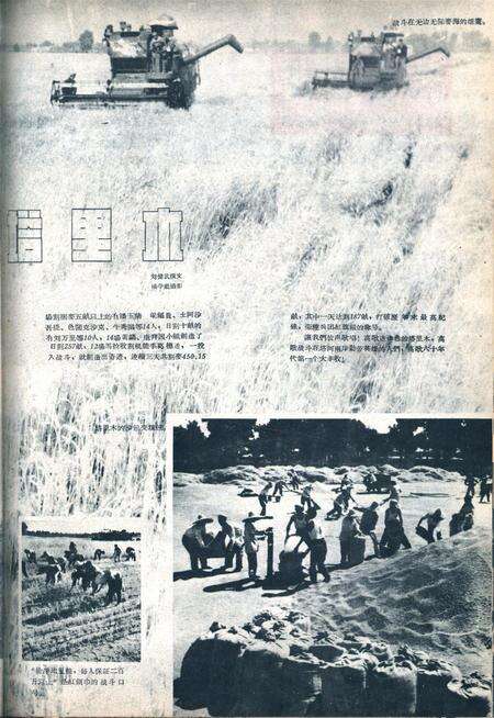 新疆画报1960年第08期.pdf电子版_新疆维吾尔族自治区志预览图1