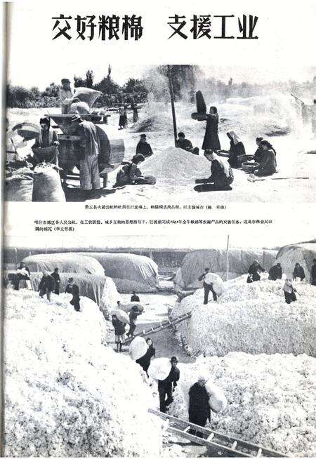 新疆画报1962年第02期.pdf电子版_新疆维吾尔族自治区志预览图1