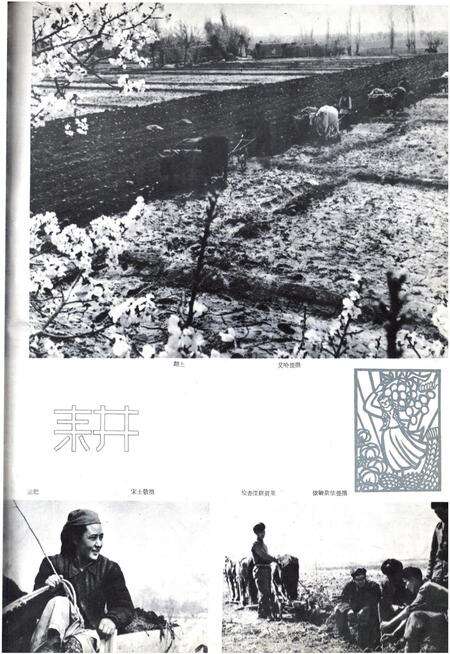 新疆画报1962年第04期.pdf电子版_新疆维吾尔族自治区志预览图1