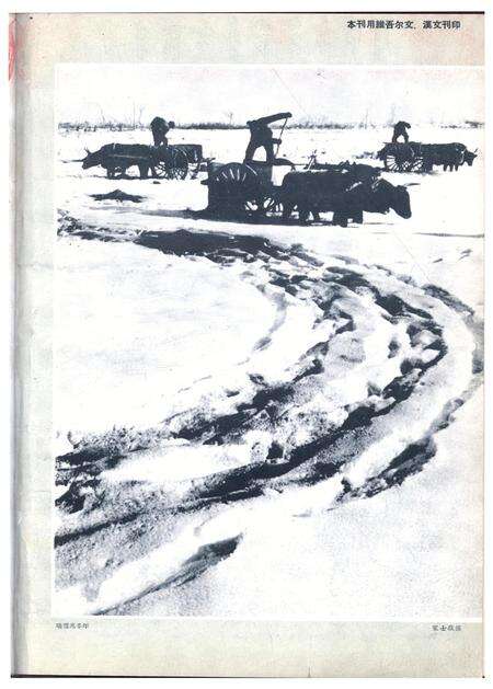 新疆画报1963年第01期.pdf电子版_新疆维吾尔族自治区志预览图1