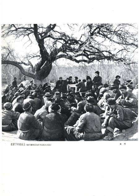 新疆画报1965年第03期.pdf电子版_新疆维吾尔族自治区志预览图1