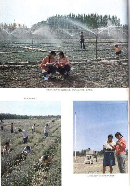 新疆画报1979年第03期.pdf电子版_新疆维吾尔族自治区志预览图1