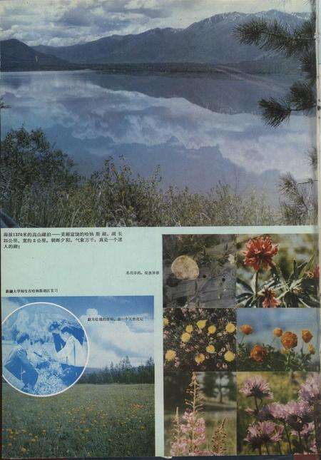 新疆画报1981年第01期.pdf电子版_新疆维吾尔族自治区志预览图1