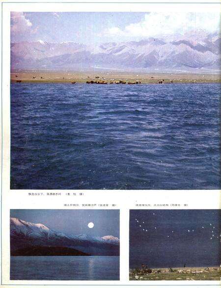 新疆画报1986年第01期.pdf电子版_新疆维吾尔族自治区志预览图1