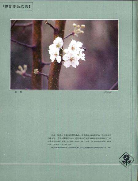 新疆画报1989年第04期.pdf电子版_新疆维吾尔族自治区志预览图1