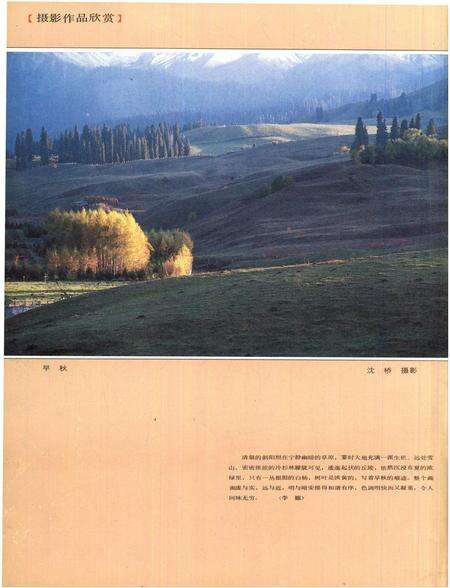 新疆画报1989年第06期.pdf电子版_新疆维吾尔族自治区志预览图1
