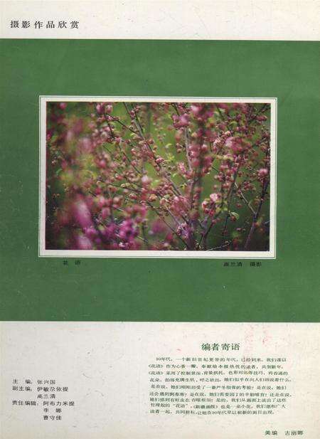 新疆画报1990年第01期.pdf电子版_新疆维吾尔族自治区志预览图1