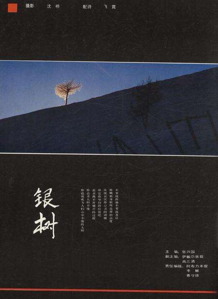 新疆画报1990年第04期.pdf电子版_新疆维吾尔族自治区志预览图1