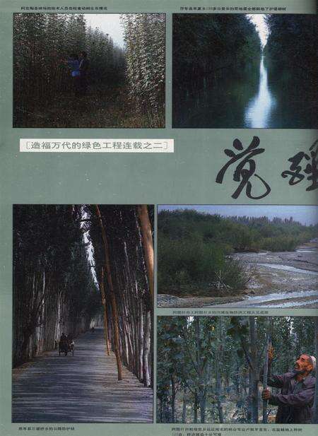 新疆画报1992年第04期.pdf电子版_新疆维吾尔族自治区志预览图1