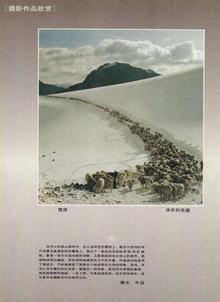 新疆画报1994年第04期.pdf电子版_新疆维吾尔族自治区志预览图1