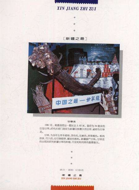 新疆画报1997年第05期.pdf电子版_新疆维吾尔族自治区志预览图1