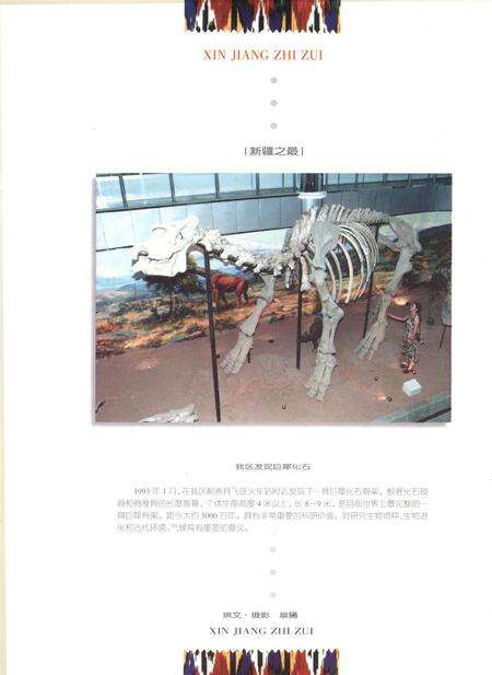 新疆画报1998年第01期.pdf电子版_新疆维吾尔族自治区志预览图1