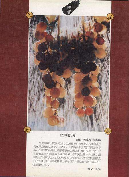 新疆画报2000年第02期.pdf电子版_新疆维吾尔族自治区志预览图1