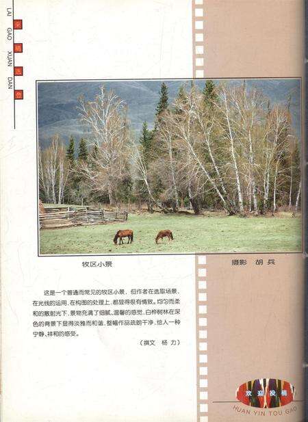 新疆画报2001年第01期.pdf电子版_新疆维吾尔族自治区志预览图1