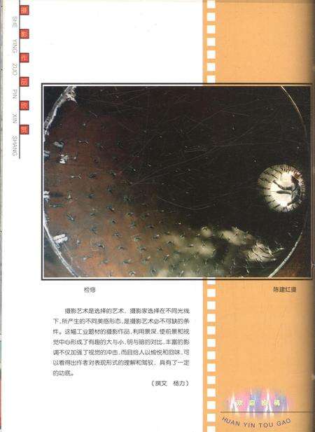 新疆画报2001年第02期.pdf电子版_新疆维吾尔族自治区志预览图1