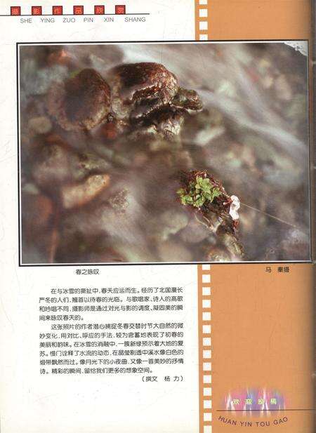 新疆画报2001年第03期.pdf电子版_新疆维吾尔族自治区志预览图1
