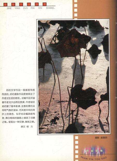 新疆画报2001年第04期.pdf电子版_新疆维吾尔族自治区志预览图1
