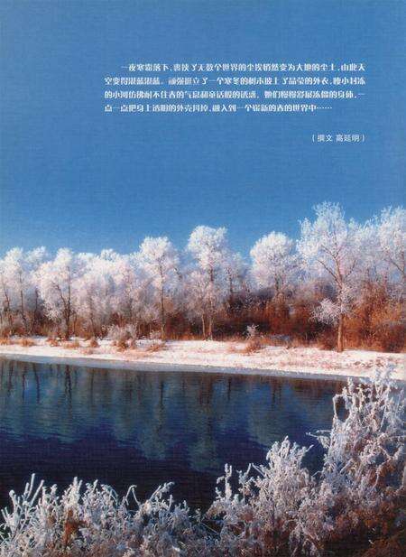 新疆画报2006年第02期.pdf电子版_新疆维吾尔族自治区志预览图1