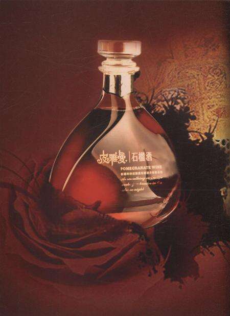 新疆画报2008年第06期.pdf电子版_新疆维吾尔族自治区志预览图1