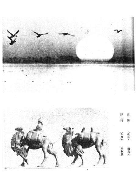 新疆绿洲1982年第02期.pdf电子版_新疆维吾尔族自治区志预览图1