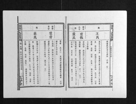 湖南卜氏族谱-浏阳卜氏家谱[16卷首1卷].pdf电子版预览图2