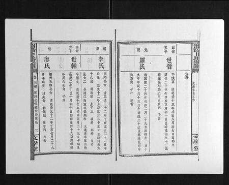 湖南卜氏族谱-浏阳卜氏家谱[16卷首1卷].pdf电子版预览图3