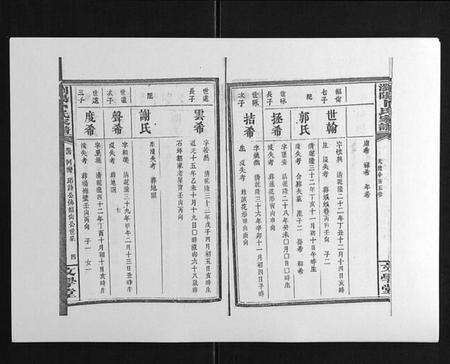 湖南卜氏族谱-浏阳卜氏家谱[16卷首1卷].pdf电子版预览图4