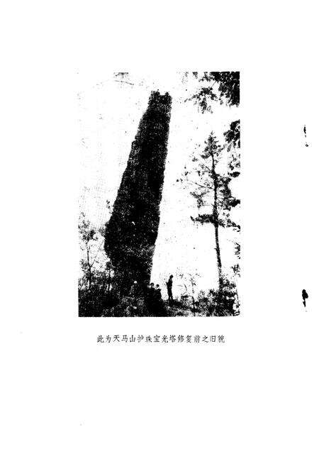 1987-松江文史  第8辑  松江文物·古迹·园林·建筑等选编.pdf电子版_上海市志预览图2