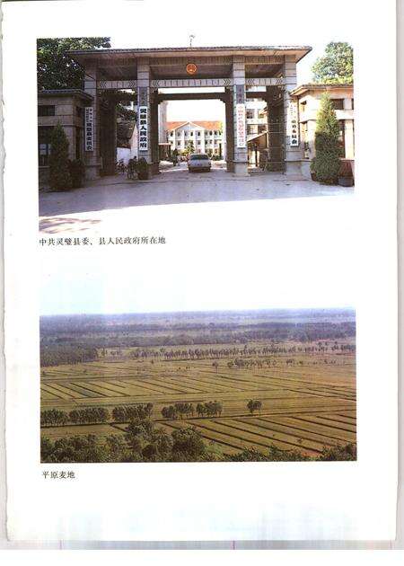 1991版灵璧县志.pdf电子版_安徽省志预览图2