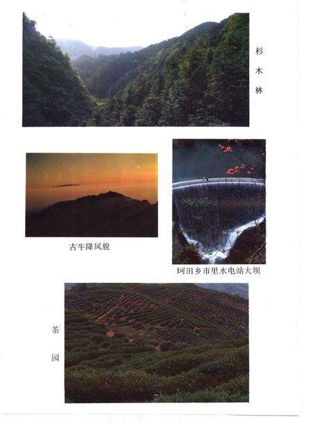 1991版石台县志.pdf电子版_安徽省志预览图2