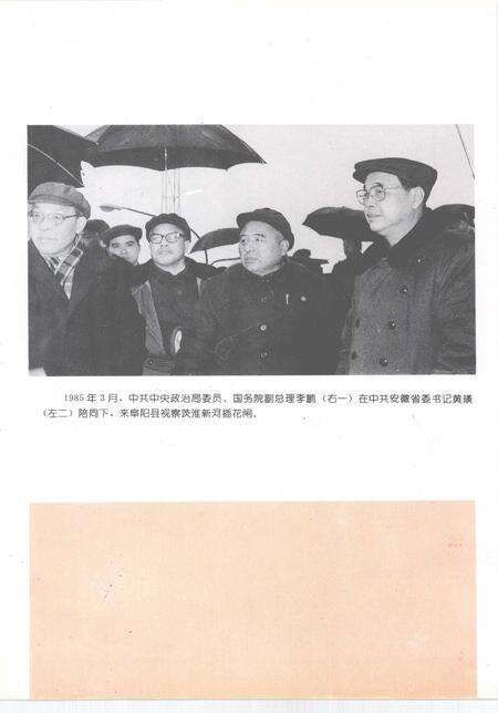 1994版阜阳县志.pdf电子版_安徽省志预览图2