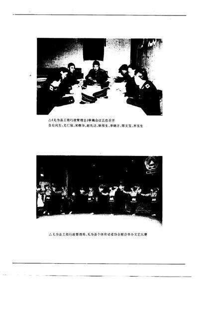 1995版无为县工商行政管理志.pdf电子版_安徽省志预览图2