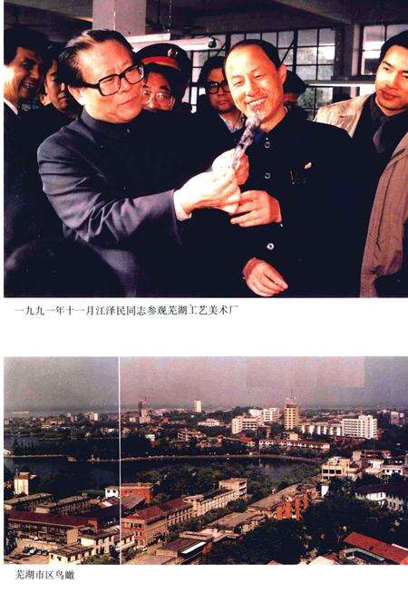 1995版芜湖市志  上.pdf电子版_安徽省志预览图2