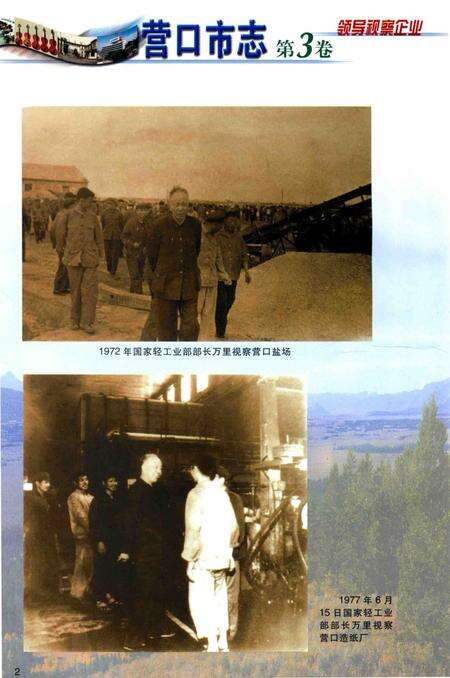 2001-营口市志  第3卷  工业  综合管理  外经外贸.pdf电子版_辽宁省志预览图2