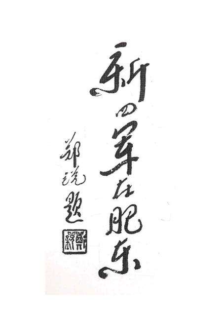 2005版新四军在肥东  第2辑.pdf电子版_安徽省志预览图2